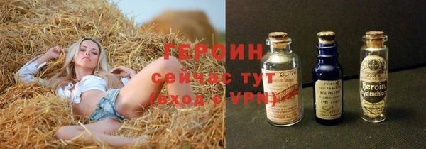 прущий лед Дмитриев