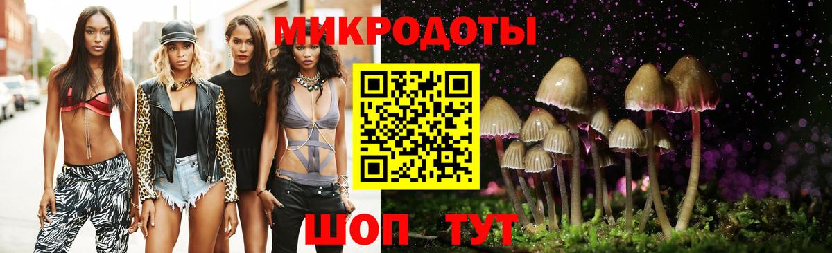 Псилоцибиновые грибы Cubensis Елабуга